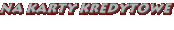 Etui na karty kredytowe