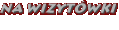 Etui na wizytwki